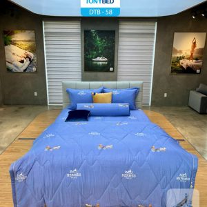 Bộ Drap Ga Trải Giường Tencel Bông - DTB58