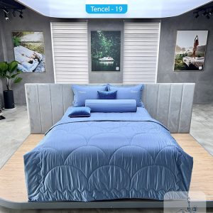 Bộ Drap Ga Trải Giường Tencel Màu – TCM19