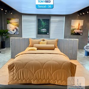 Bộ Drap Ga Trải Giường Tencel Màu – TCM36