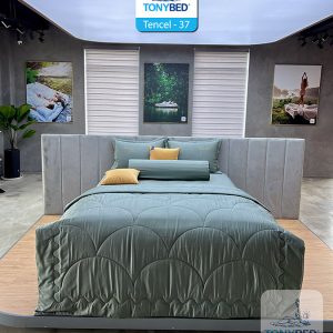Bộ Drap Ga Trải Giường Tencel Màu – TCM37