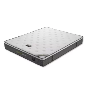 Nệm lò xo túi Athena Sleep