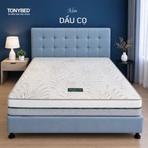 Nệm cao su dầu cọ