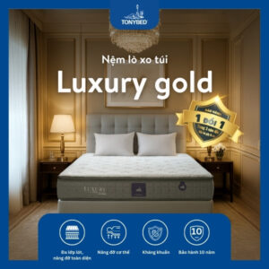 Nem Luxury LXT Obama 3V