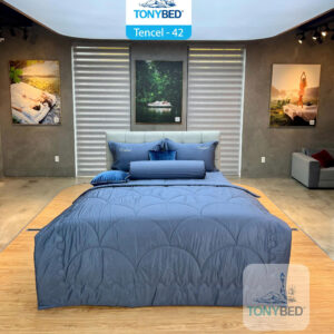 Bộ Drap Ga Trải Giường Tencel Màu – TCM42